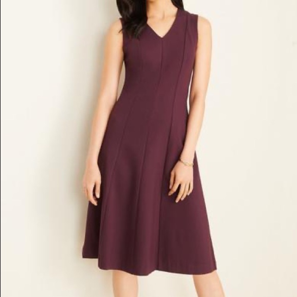 EUC Seamed Ponte Flare Dress